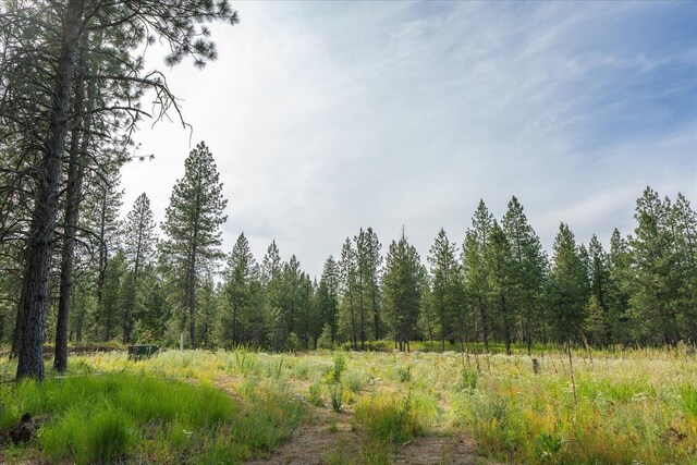 1401 E N Park Ln, Deer Park, WA 99006 - photo 17