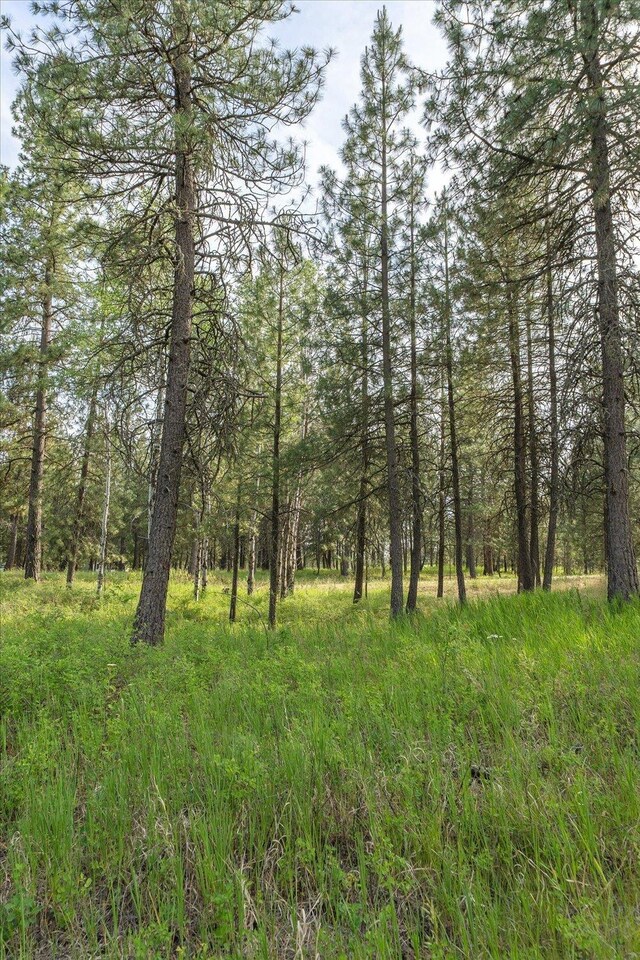 1401 E N Park Ln, Deer Park, WA 99006 - photo 20
