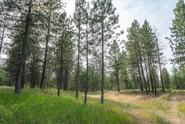 1401 E N Park Ln, Deer Park, WA 99006 - photo 3