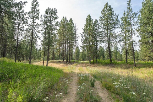 1401 E N Park Ln, Deer Park, WA 99006 - photo 21
