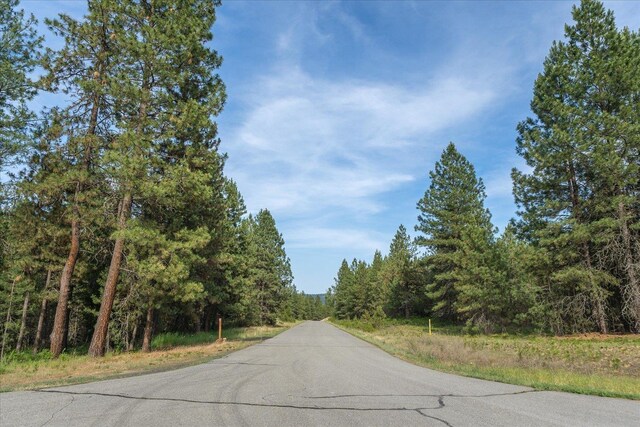 1401 E N Park Ln, Deer Park, WA 99006 - photo 22