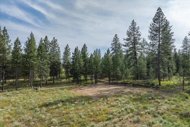 1401 E N Park Ln, Deer Park, WA 99006 - photo 25