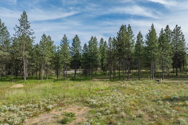 1401 E N Park Ln, Deer Park, WA 99006 - photo 26