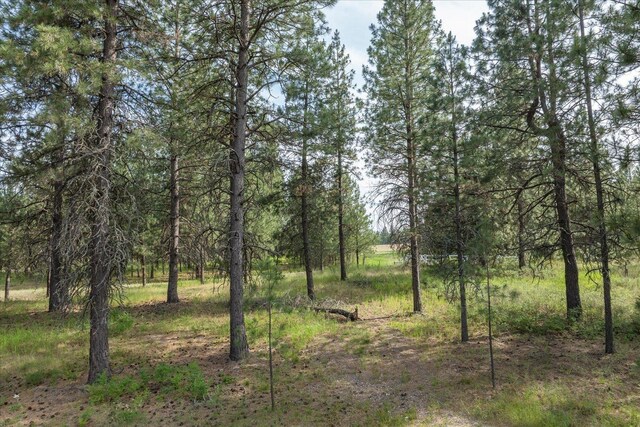 1401 E N Park Ln, Deer Park, WA 99006 - photo 27