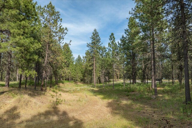1401 E N Park Ln, Deer Park, WA 99006 - photo 28