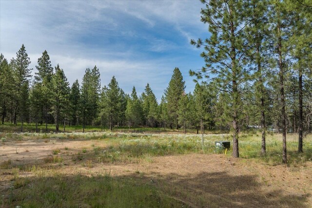1401 E N Park Ln, Deer Park, WA 99006 - photo 29