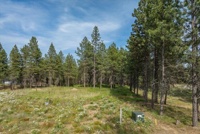 1401 E N Park Ln, Deer Park, WA 99006 - photo 30