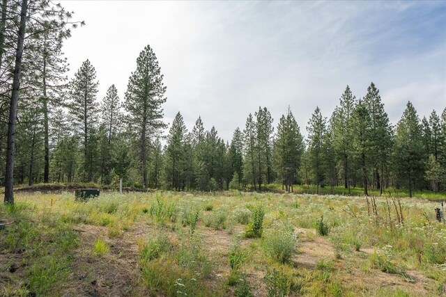 1401 E N Park Ln, Deer Park, WA 99006 - photo 4