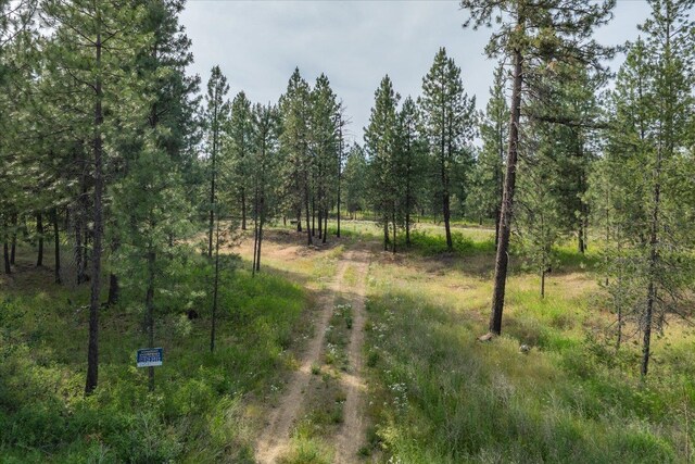 1401 E N Park Ln, Deer Park, WA 99006 - photo 31