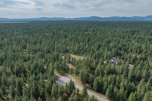 1401 E N Park Ln, Deer Park, WA 99006 - photo 32