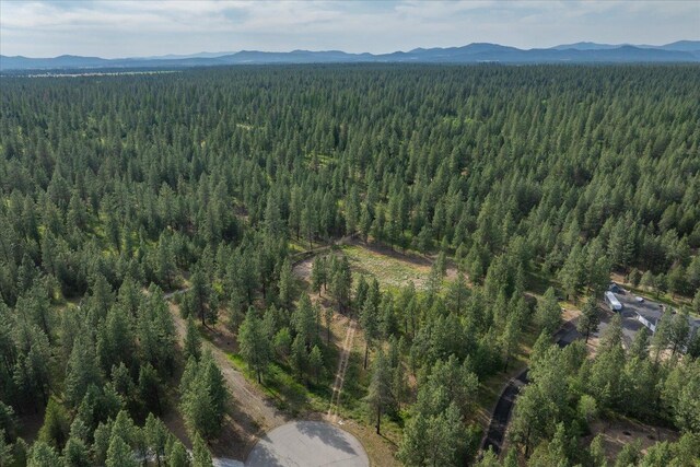 1401 E N Park Ln, Deer Park, WA 99006 - photo 33