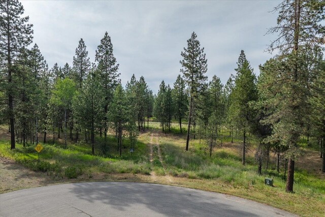 1401 E N Park Ln, Deer Park, WA 99006 - photo 34