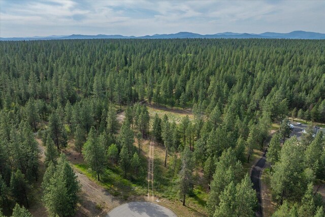 1401 E N Park Ln, Deer Park, WA 99006 - photo 35