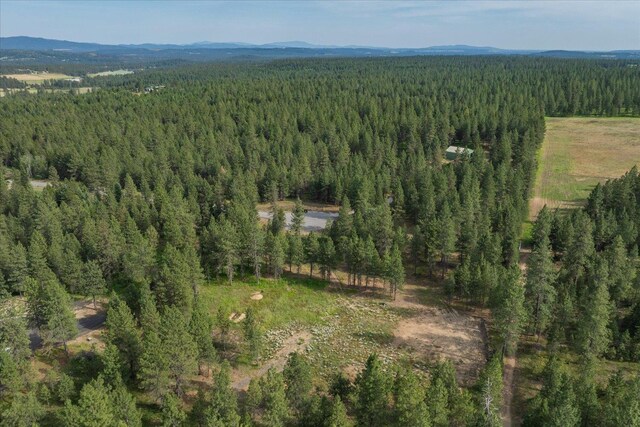 1401 E N Park Ln, Deer Park, WA 99006 - photo 36