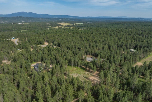 1401 E N Park Ln, Deer Park, WA 99006 - photo 37