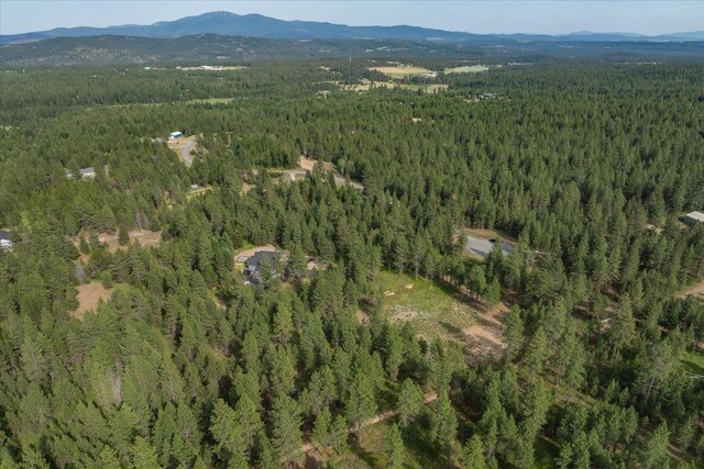 1401 E N Park Ln, Deer Park, WA 99006 - photo 38