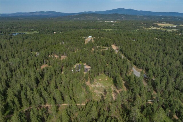 1401 E N Park Ln, Deer Park, WA 99006 - photo 39
