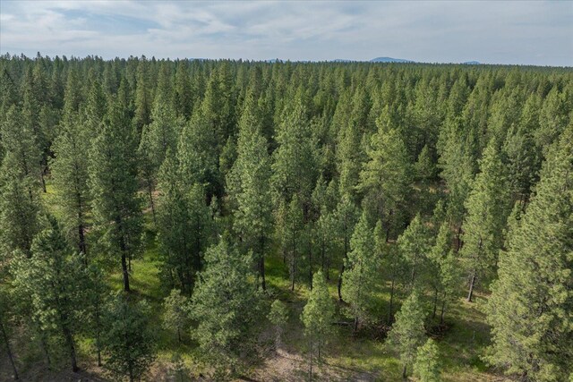 1401 E N Park Ln, Deer Park, WA 99006 - photo 43