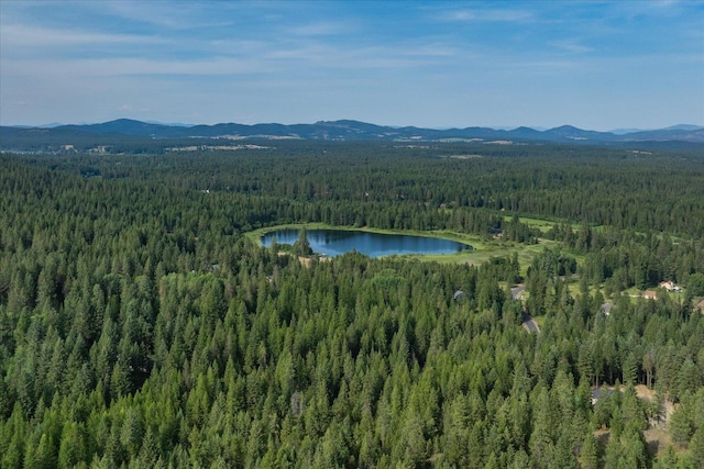 1401 E N Park Ln, Deer Park, WA 99006 - photo 44