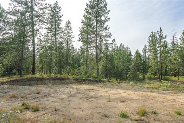 1401 E N Park Ln, Deer Park, WA 99006 - photo 7