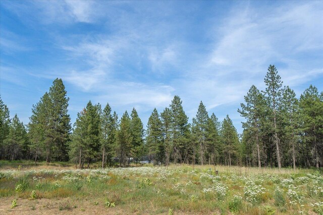 1401 E N Park Ln, Deer Park, WA 99006 - photo 8