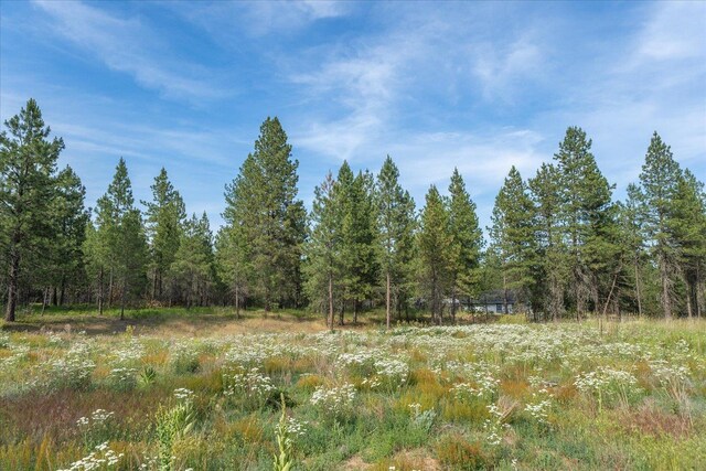 1401 E N Park Ln, Deer Park, WA 99006 - photo 9