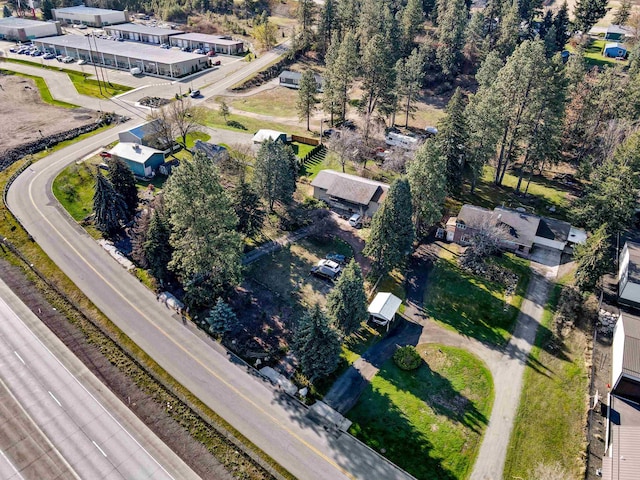 drone / aerial view
