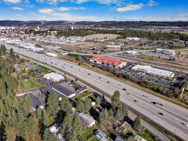 drone / aerial view