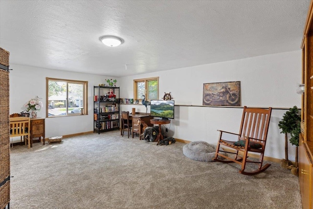 sitting room with carpet floors, a textured ceiling, and baseboards