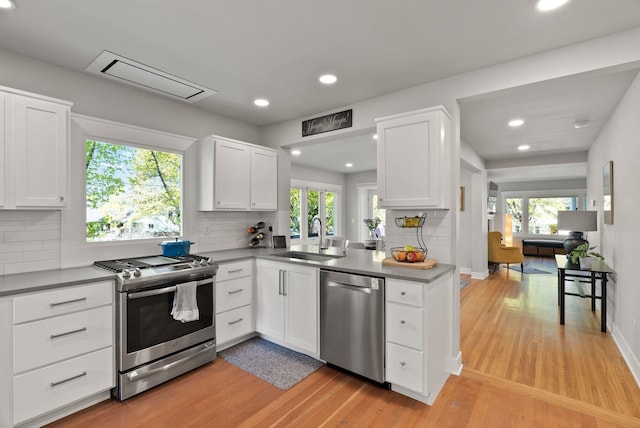 kitchen featuring backsplash, stainless steel appliances, a sink, and light wood finished floors