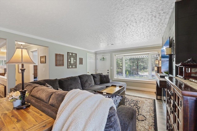 living area featuring a textured ceiling, ornamental molding, and wood finished floors