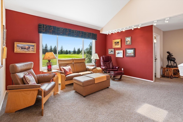 living area with carpet floors, baseboards, vaulted ceiling, and track lighting