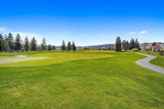 view of property's community featuring a lawn and golf course view