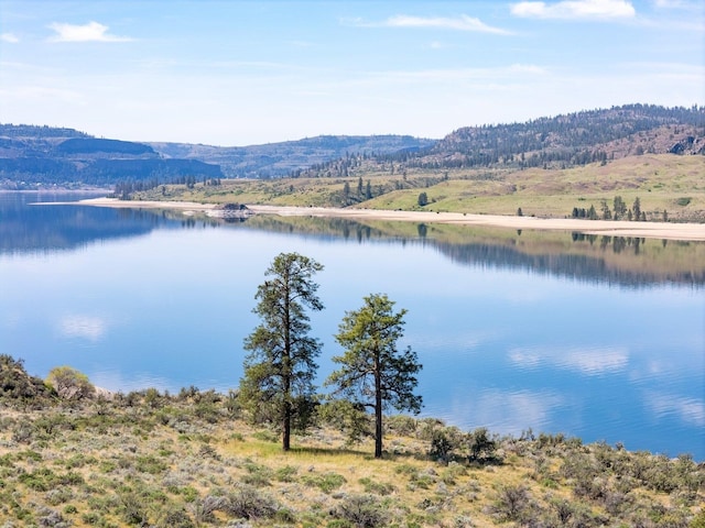 property view of water featuring a mountain view