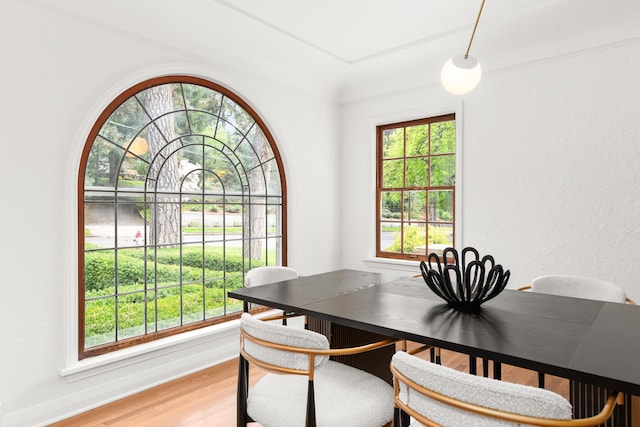 dining area with a healthy amount of sunlight and light wood finished floors