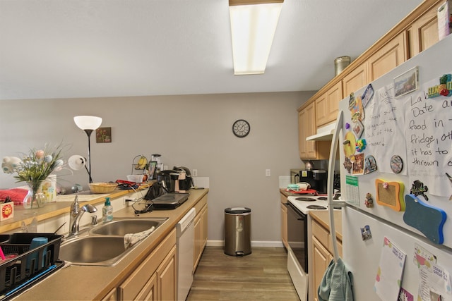 kitchen with a sink, light countertops, light wood-style floors, light brown cabinets, and white appliances