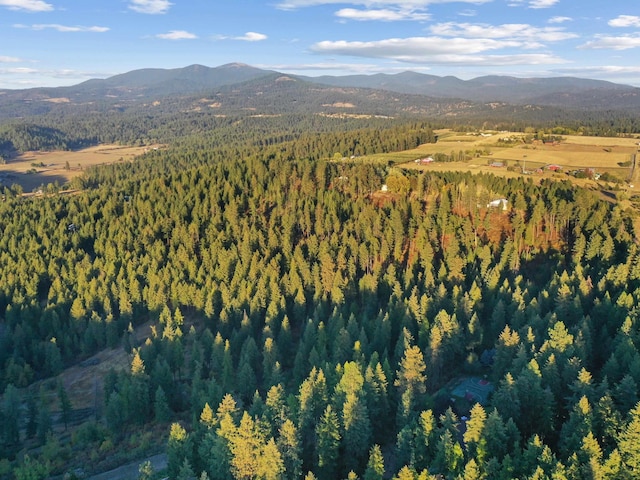 bird's eye view with a mountain view and a wooded view