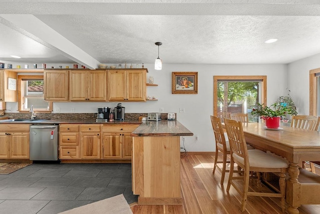 kitchen with a sink, dark countertops, plenty of natural light, and stainless steel dishwasher
