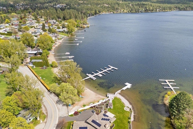 bird's eye view with a water view and a forest view