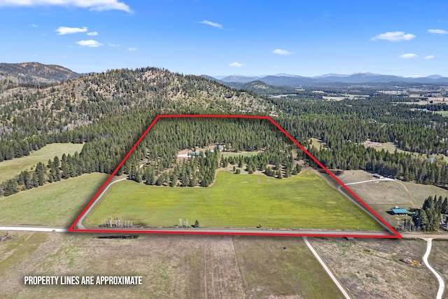 5034 Bittrich Antler Rd, Deer Park, WA 99006 - drone / aerial view with a mountain view and a wooded view