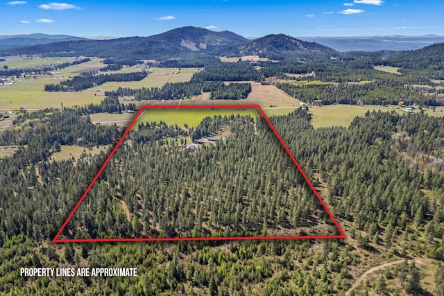 5034 Bittrich Antler Rd, Deer Park, WA 99006 - bird's eye view featuring a mountain view, a rural view, and a wooded view