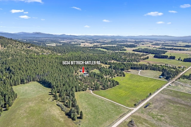 5034 Bittrich Antler Rd, Deer Park, WA 99006 - bird's eye view with a mountain view
