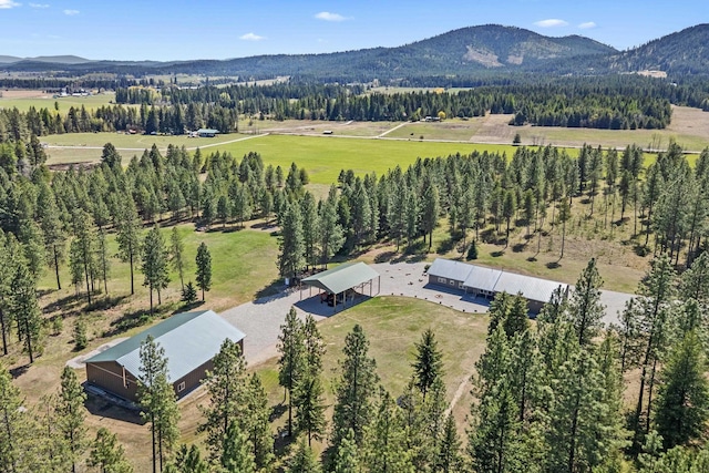 5034 Bittrich Antler Rd, Deer Park, WA 99006 - birds eye view of property featuring a mountain view and a rural view