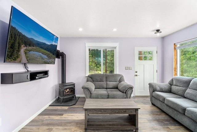 362 Panorama Dr, Newport, WA 99156 - living area featuring baseboards, a wood stove, recessed lighting, and wood finished floors