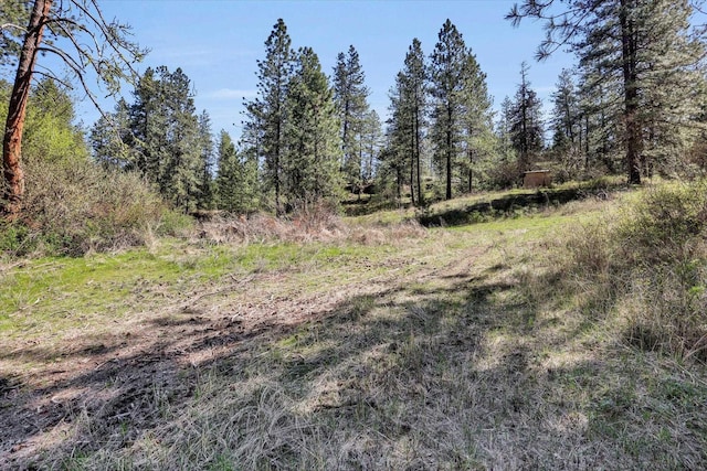 5882 Carey Rd, Tumtum, WA 99034 - photo 32