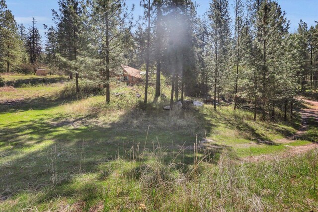 5882 Carey Rd, Tumtum, WA 99034 - photo 33