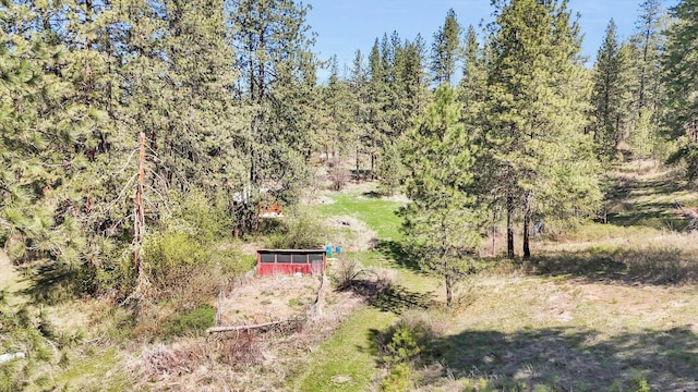 5882 Carey Rd, Tumtum, WA 99034 - photo 36