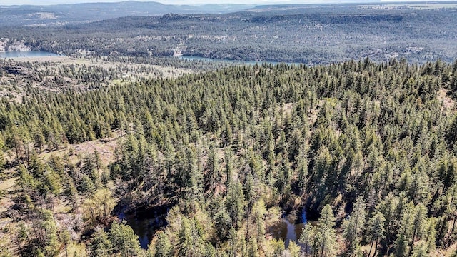 5882 Carey Rd, Tumtum, WA 99034 - photo 41