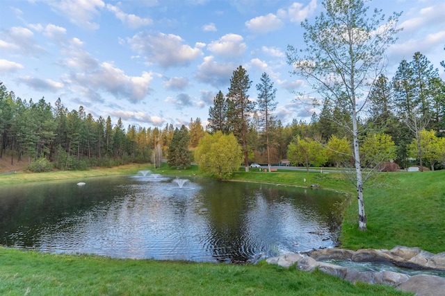 view of water feature featuring a forest view