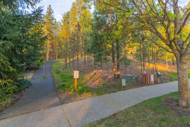 view of home's community